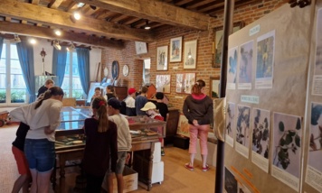 Visites commentées du musée de la Thiérache