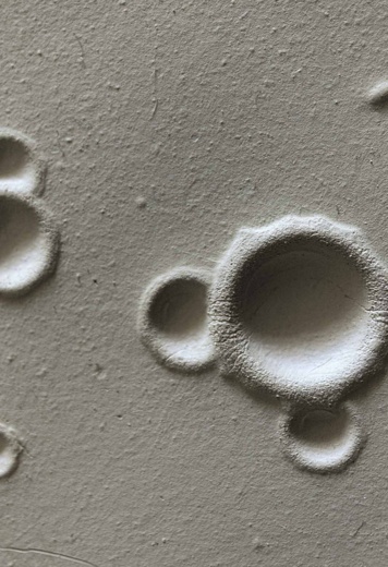 Sur les traces du monde