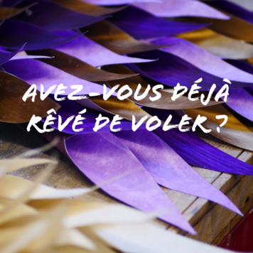Avez-vous déjà rêvé de voler ?