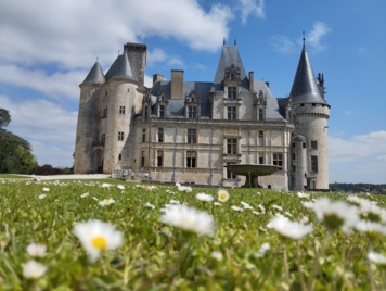 Découverte de 1000 ans d'histoire de familles