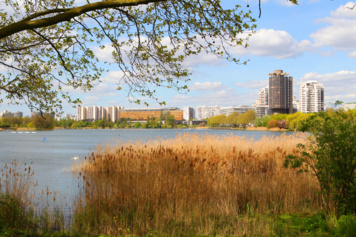 Balade sur les bords du lac