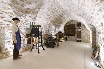 Découverte de la diversité du métier de Vigneron Champenois
