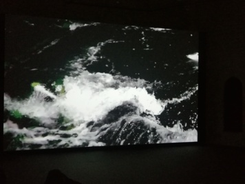 Ad Infinitum, des baleines et des hommes