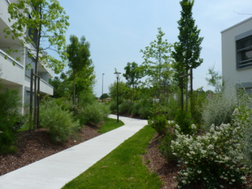 Le quartier des sècheries, un parc habité