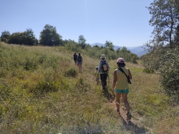 Découvrir le patrimoine naturel du Pech Saint Sauveur