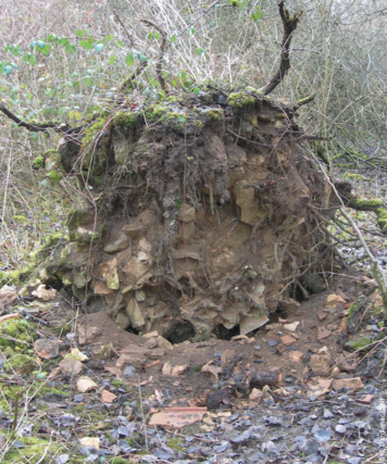 Le patrimoine archéologique des forêts françaises