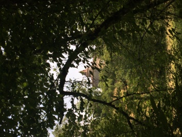 Journée nature et culture au Cayla