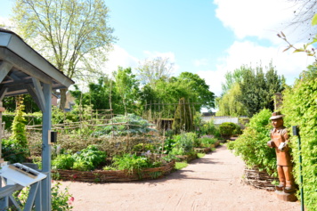 À la découverte de l'usage des plantes du Moyen-Âge