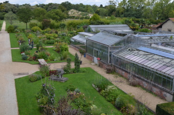 Visite et atelier : Impressions végétales