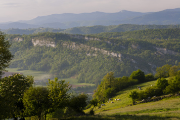 Lecture de paysage : comprendre l'empreinte humaine sur notre environnement