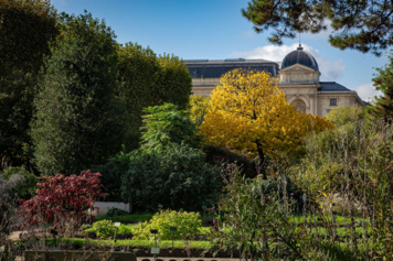 Visite découverte du Jardin des Plantes