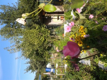 Des jardins ouvriers (Renault) aux jardins familiaux