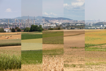Paysages immuables ?