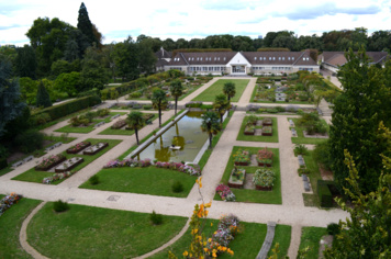 Visite et atelier : Botanistes en herbe
