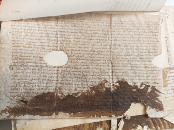 Atelier "Patrimoine écrit en danger"