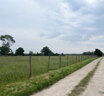 Paysages d'élevage, paysages nourriciers