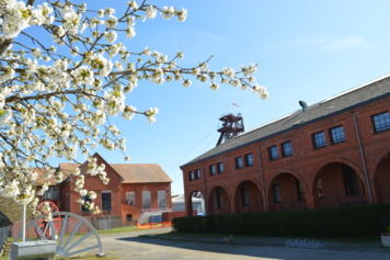 Visite guidée du Musée de la Mine et de la Potasse - Carreau Joseph-Else