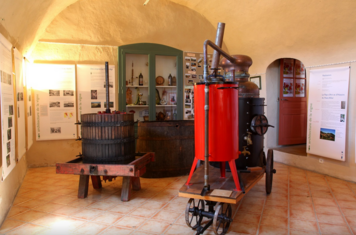Visite guidée du musée de la vigne et du patrimoine