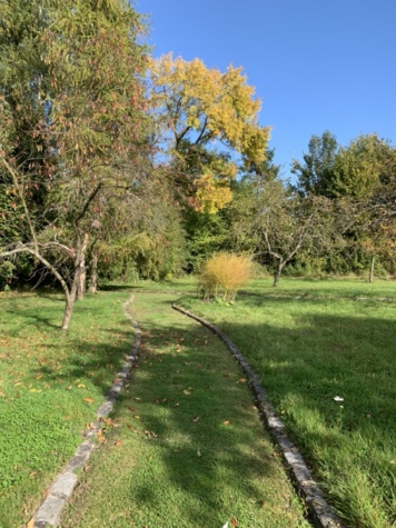 Mon jardin à l’automne