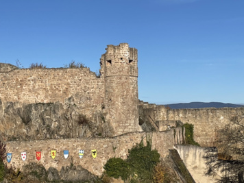 Visite découverte du Château du Hohlandsbourg