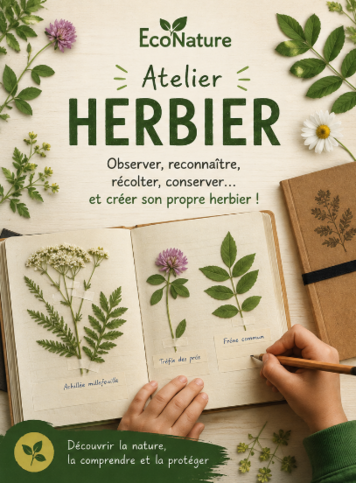Atelier Création d'un herbier