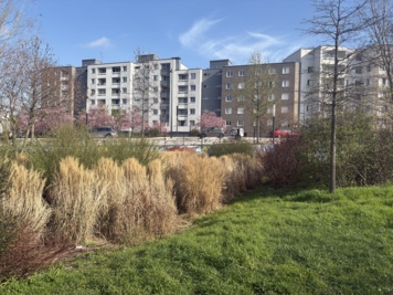 La Vieille Mer, à la découverte d'une rivière enterrée sous Saint-Denis