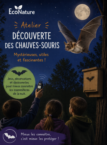 Atelier Découverte des chauves-souris