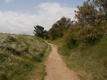 Devinerez-vous l'histoire cachée sous ses dunes ?