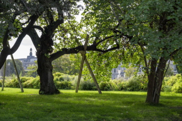 L’arbre, l’oiseau et le jardinier