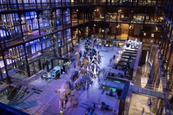 Visite découverte de la Grande Galerie de l'Évolution