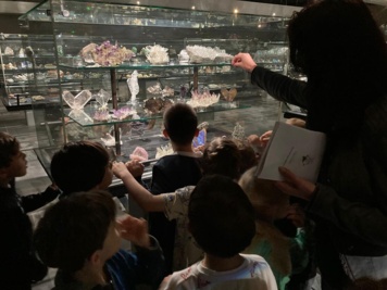 Visite du Musée des minéraux de Sorbonne Université