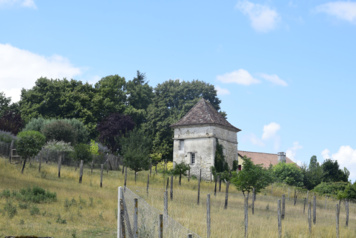 A la découverte de l'histoire de Tocane-Saint-Apre
