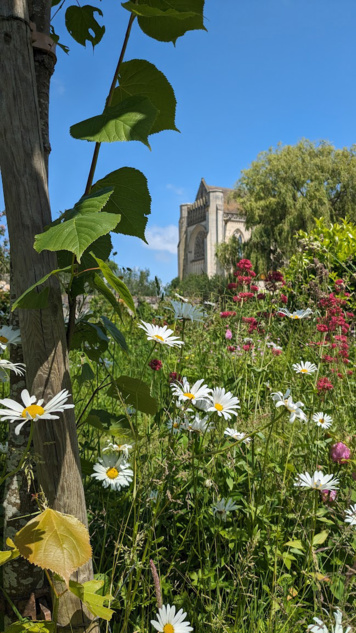 Découvrir l'abbaye et ses jardins