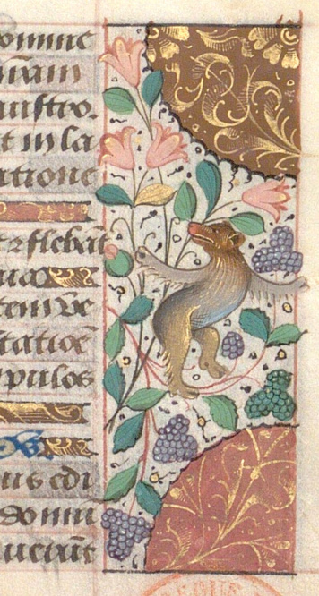 Le livre médiéval