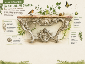 Visite du château et du domaine