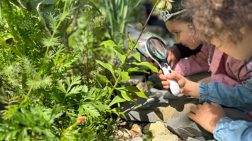 Comment faire de l’art avec les plantes ?