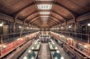 Découverte d'une bibliothèque patrimoniale