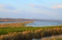 A la découverte des Marais de la Dives