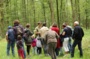 À la découverte du milieu forestier