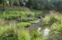 Découverte du jardin botanique et de sa serre