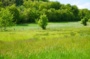 Découverte des prairies humides du Trou du Bon