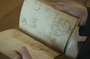 Les carnets de Léonard de Vinci