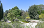 Le Jardin des plantes de Montpellier, au carrefour de l'Histoire et de l'Ecologie