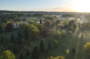 Découverte de l'Arboretum