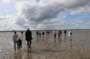 Oiseaux hivernants et patrimoine naturel du littoral normand