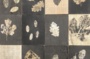 Visite-atelier "A la manière de Carole Marchais"