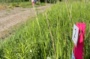 Rallye découverte des habitants du bocage
