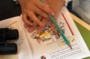 Jeu d’enquête : Les enfants mènent l’enquête