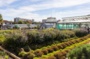 Partons à la découverte de l'architecture métallique et végétale des serres municipales de la ville de Toulouse