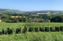 Paysages en partage